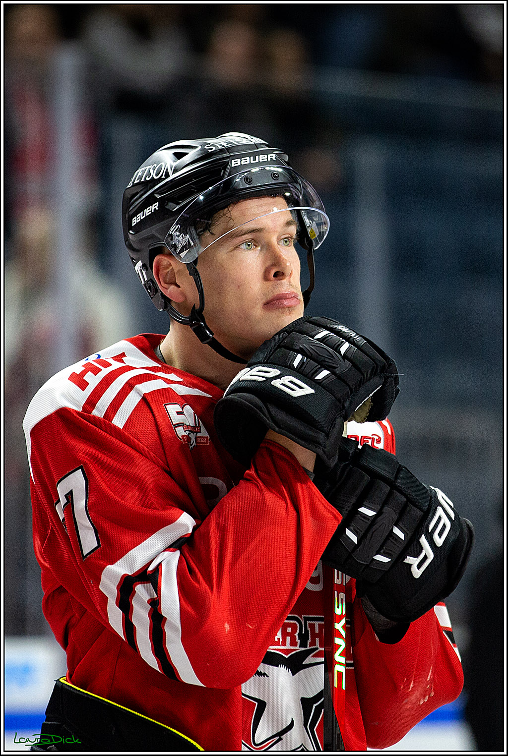 PENNY DEL; Koelner Haie- Schwenninger Wild Wings; Koeln, 06.12.2022